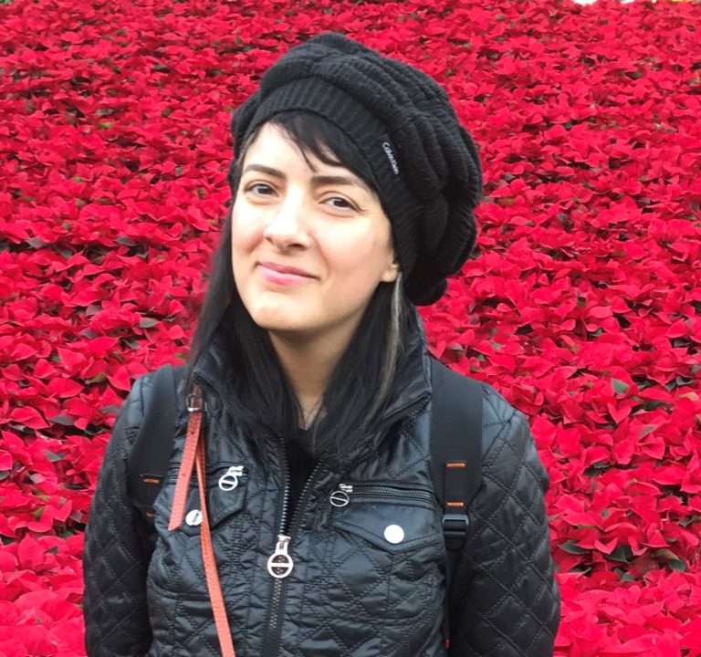 Pamela karimi dissertation 08 picture